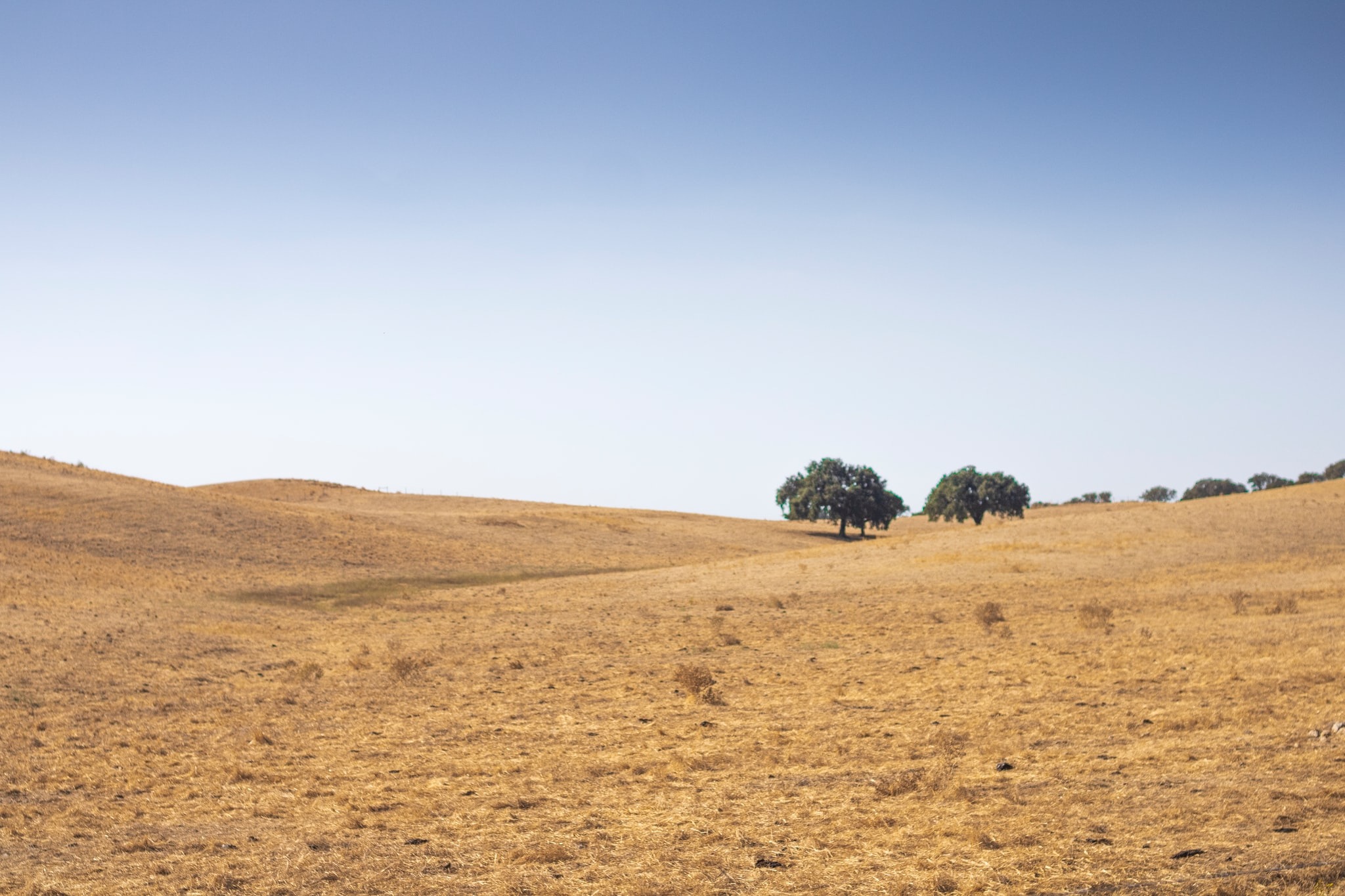 alentejo